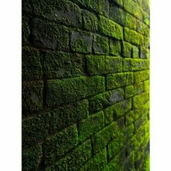 DALEP UC éco·R Traitement Fongicide Ultra Concentré D’origine Végétale – Bidon De 5L