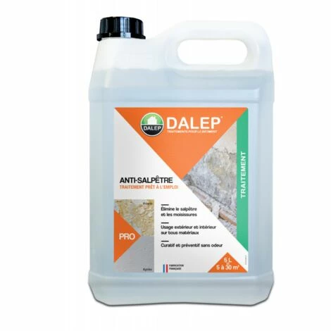 DALEP ANTI-SALPÊTRE 5L 1 DALEP ANTI-SALPÊTRE 5L